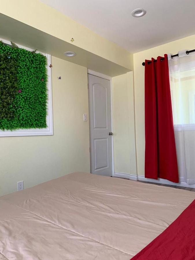 Lax Guest House Inglewood Ngoại thất bức ảnh